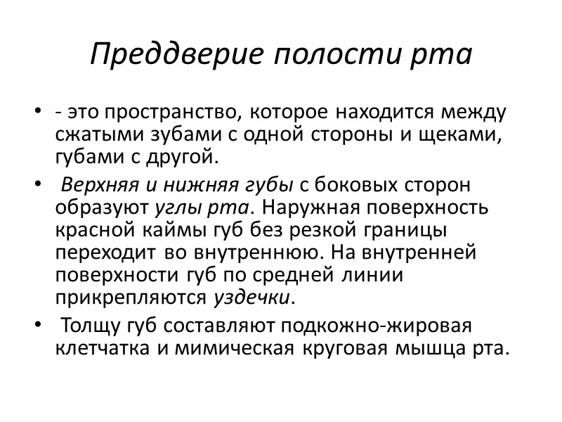 Преддверие полости рта - это пространство, которое находится между сжатыми зубами с одной стороны